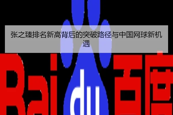 张之臻排名新高背后的突破路径与中国网球新机遇